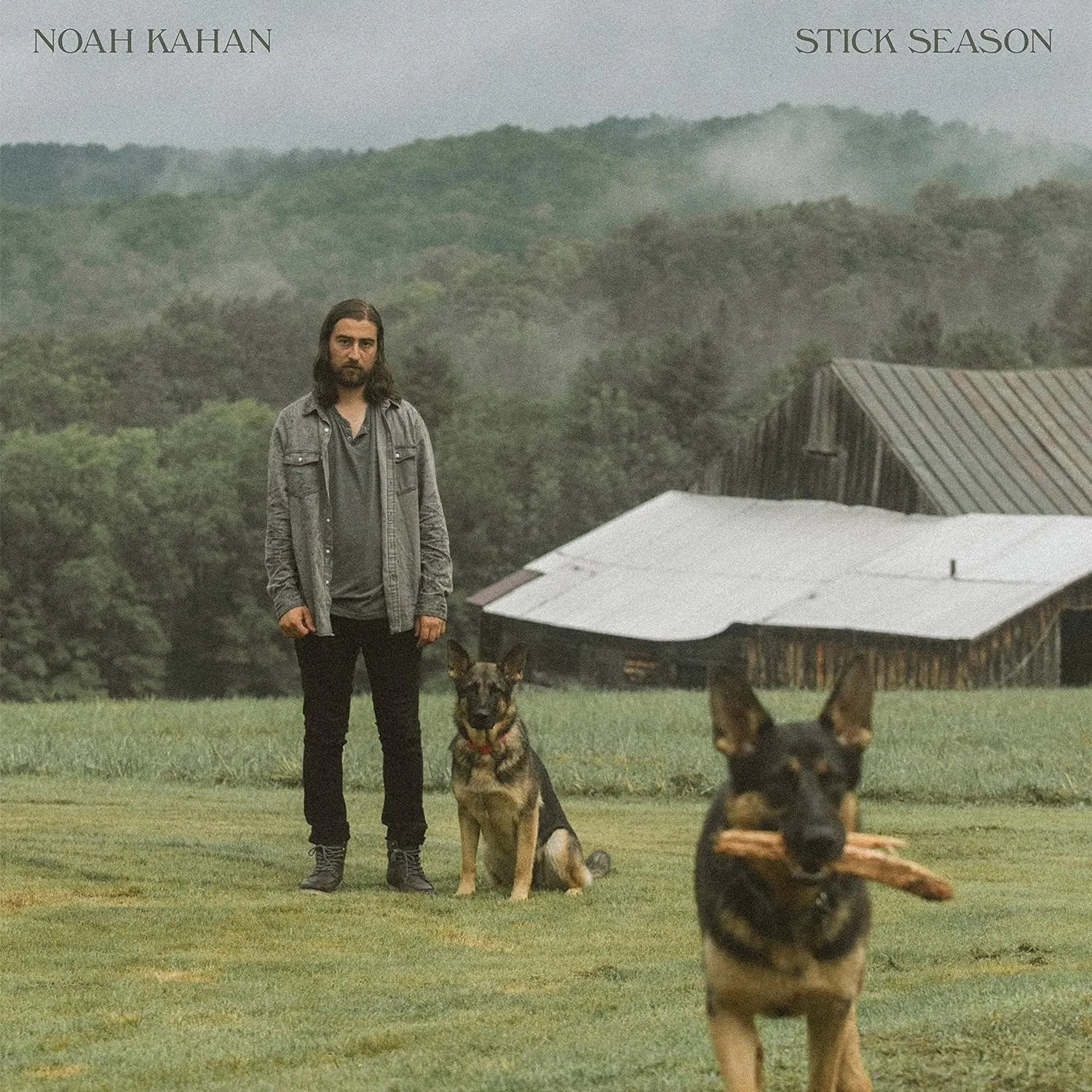 Stick Season[2 LP] Explicit Lyrics
